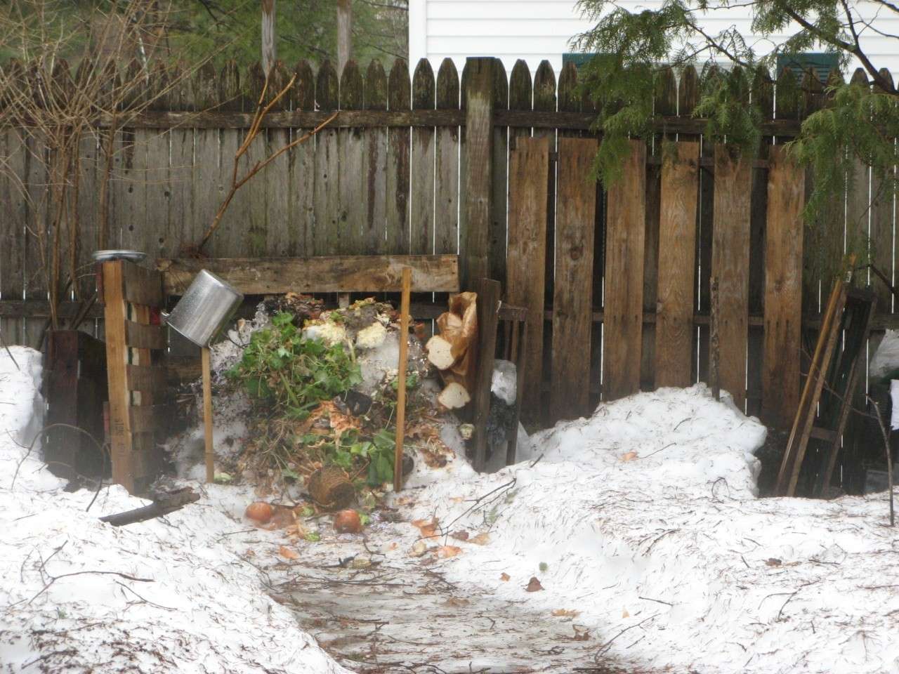 Please post pics of starter compost pile 09510