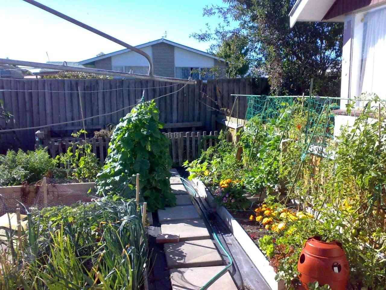 A New Zealand square foot garden 27022010
