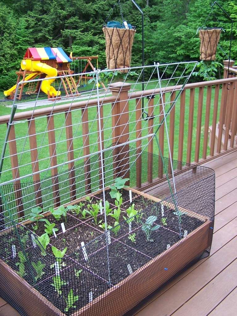 Topsy Turvy Tomatoes Deck_g10