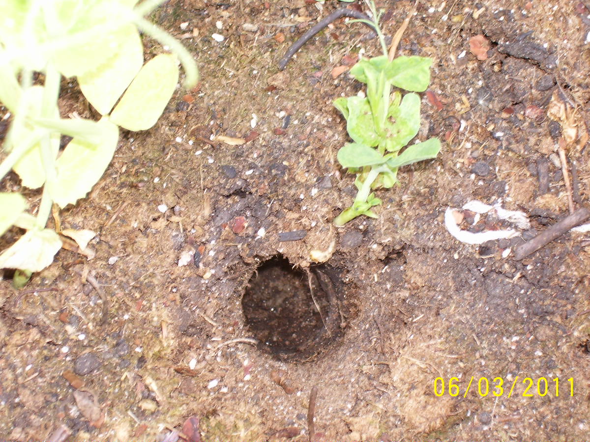 Anybody recognize this hole? Garde109