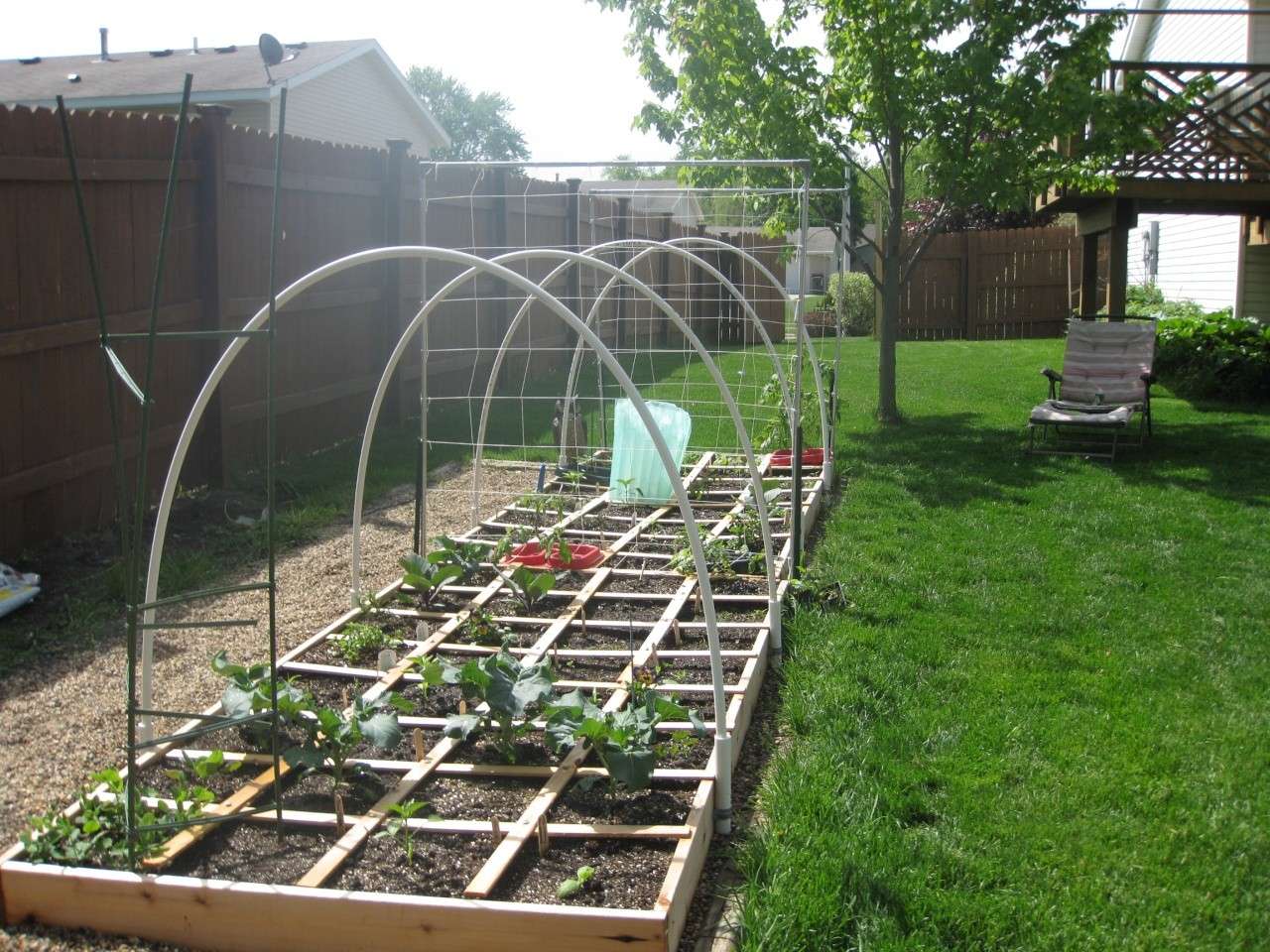 My transformed row garden to a beautiful SFG Img_4515