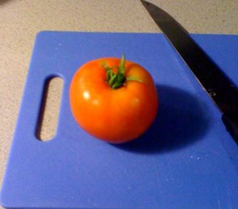 First tomato! Tomato23