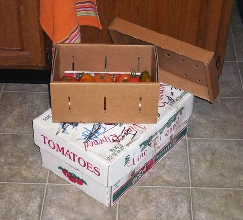 too many tomatoes - Green Tomatoes and no more time... Tombox10