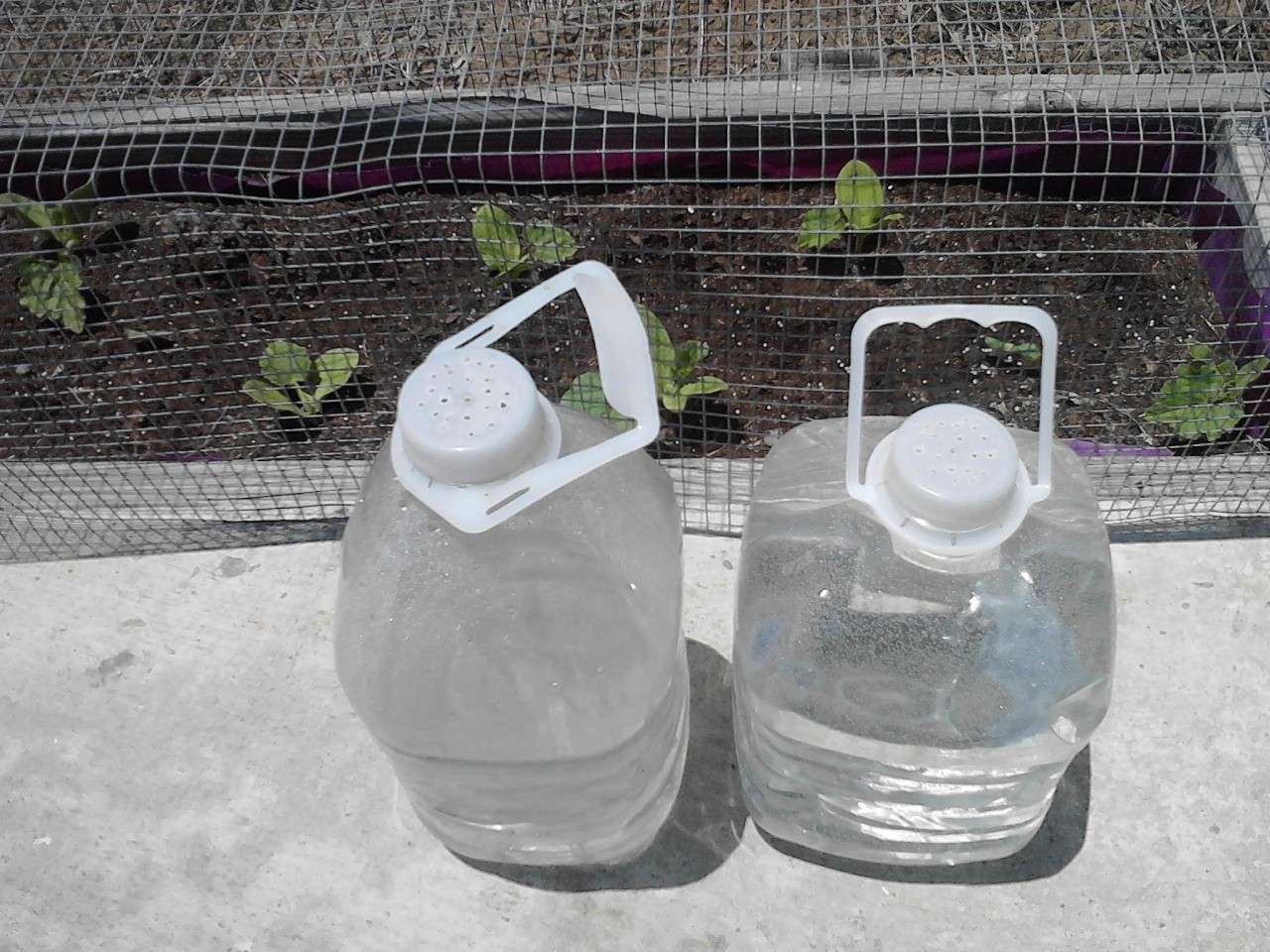 Homemade water jug Waterj10